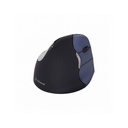 Evoluent4 Mouse Wireless 